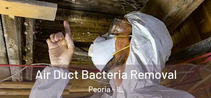 Air Duct Bacteria Removal Peoria - IL