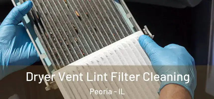  Dryer Vent Lint Filter Cleaning Peoria - IL