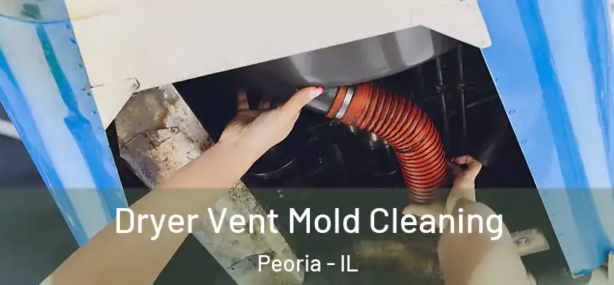  Dryer Vent Mold Cleaning Peoria - IL