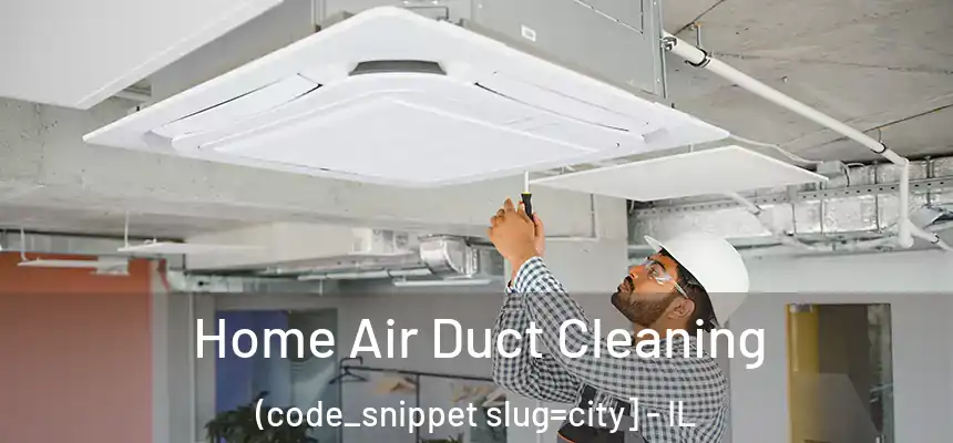  Home Air Duct Cleaning (code_snippet slug=city] - IL