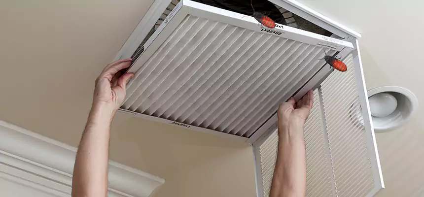 Preventive Cockroach-Proofing for Ducts in Peoria