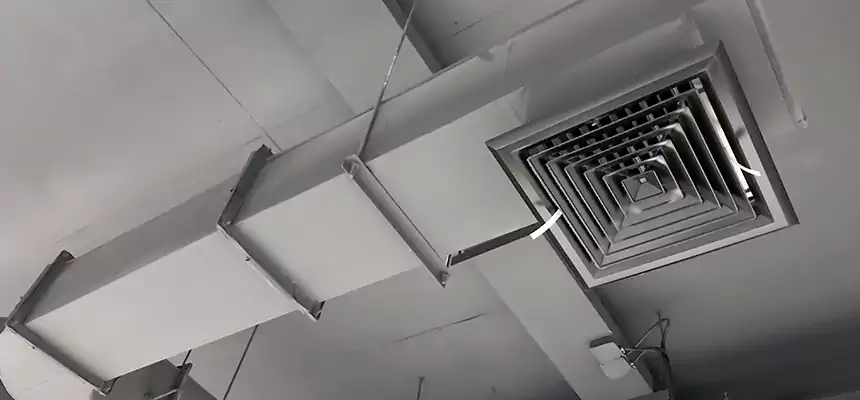 Our Pest Removal From Ducts Services in Peoria, IL