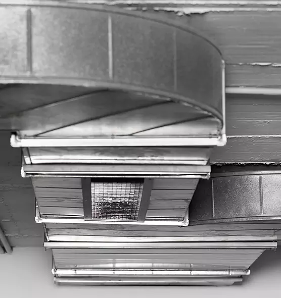 Professional Air Duct Pest Removal in Peoria, IL