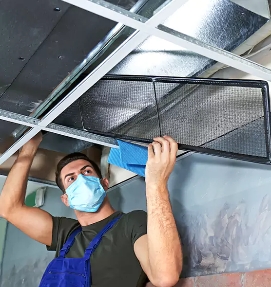 Professional Air Duct Pollen Cleaning in Peoria, IL