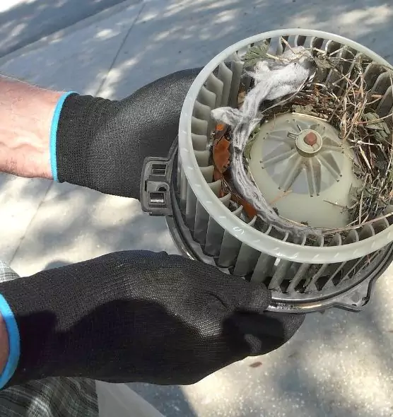 About Air Duct Rat Removal in Peoria, IL