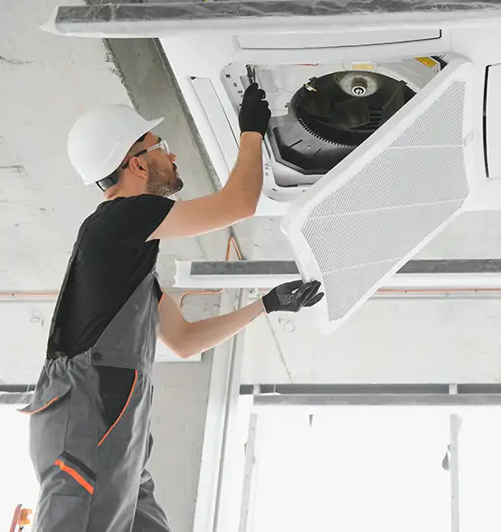 About Air Duct Rodent Removal in Peoria, IL