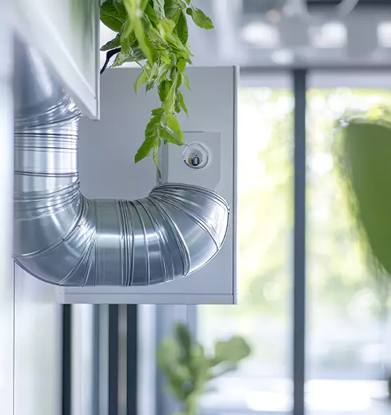 Professional Eco-Safe Dryer Vent Cleaning in Peoria, IL