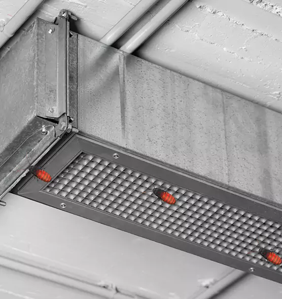 Affordable Insect Removal from Air Ducts in Peoria, IL